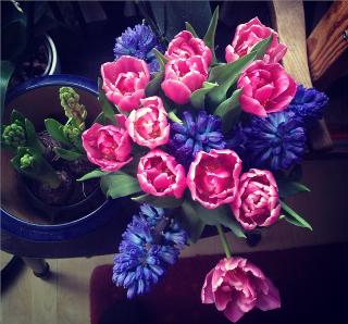 louie_flowers.jpg